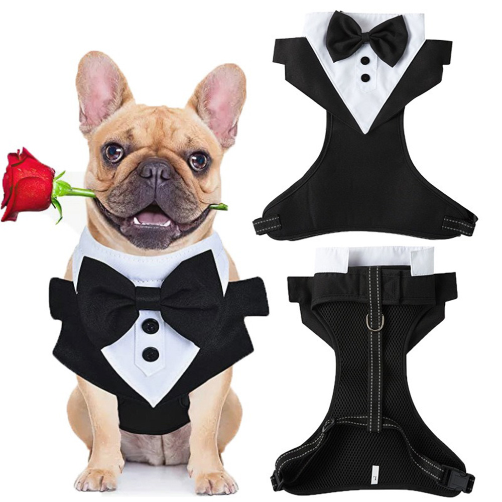 Ensemble de laisse et harnais pour costume de fête de mariage, smoking pour chiens